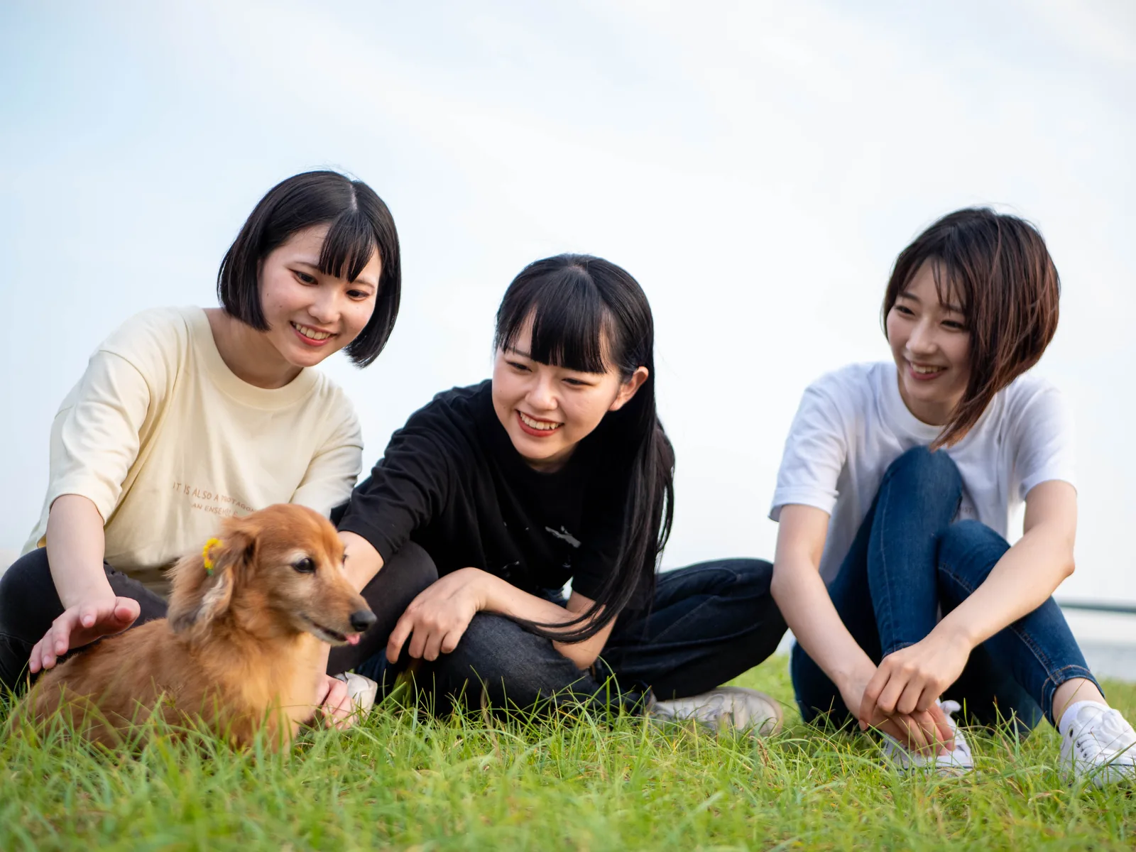 芝生で犬と遊ぶ3人の女性
