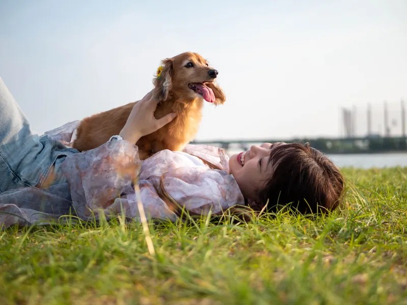 芝生に寝転んで犬と遊ぶ女性