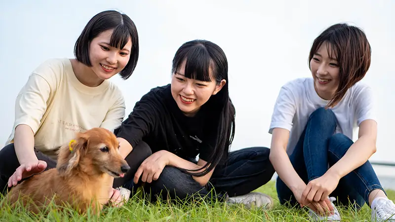 犬と女性